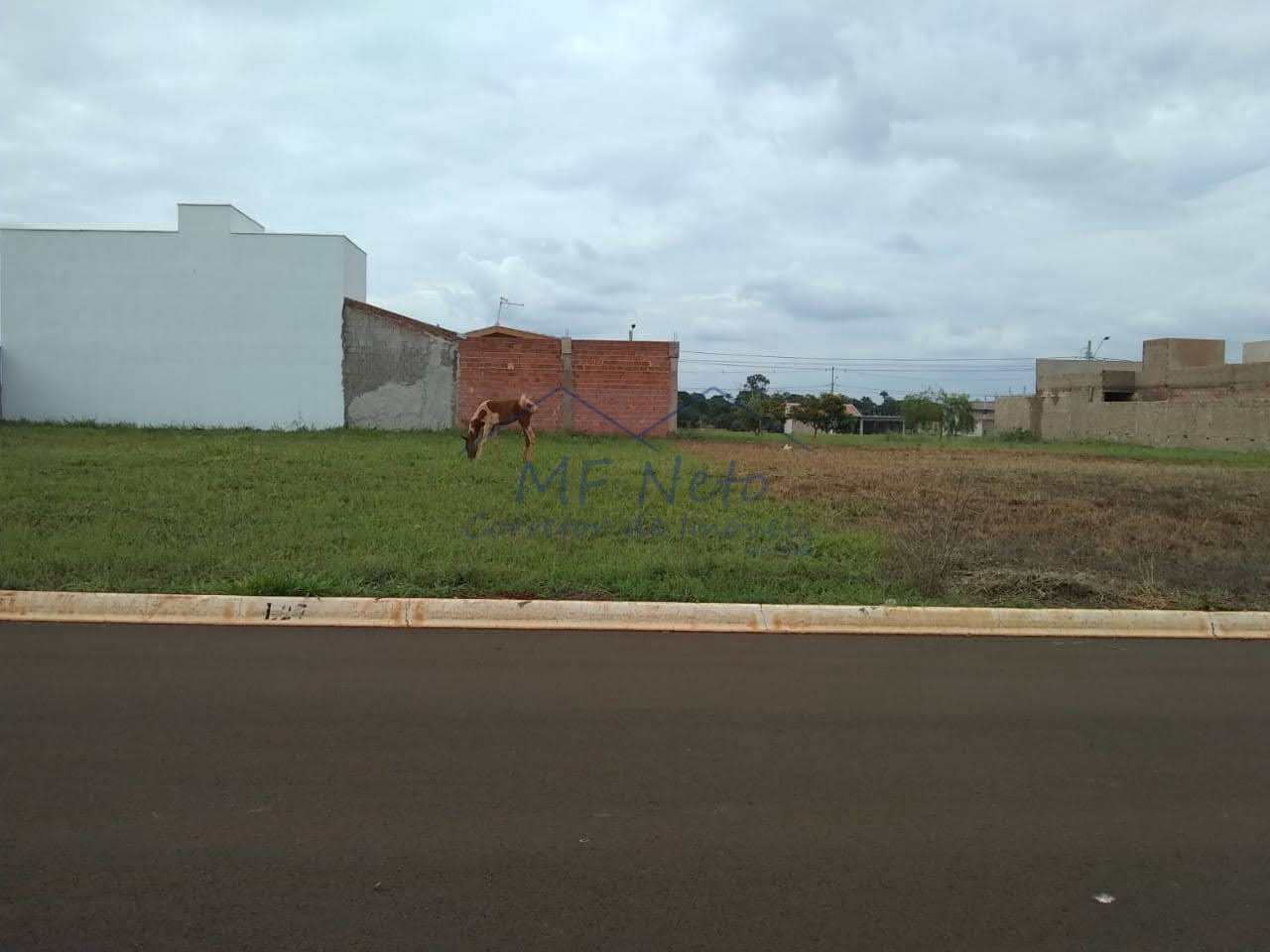 Terreno à venda, 250m² - Foto 2