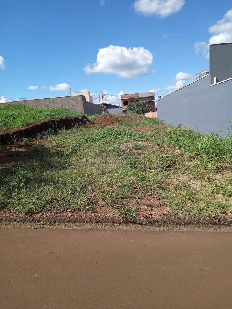 Terreno à venda, 250m² - Foto 2