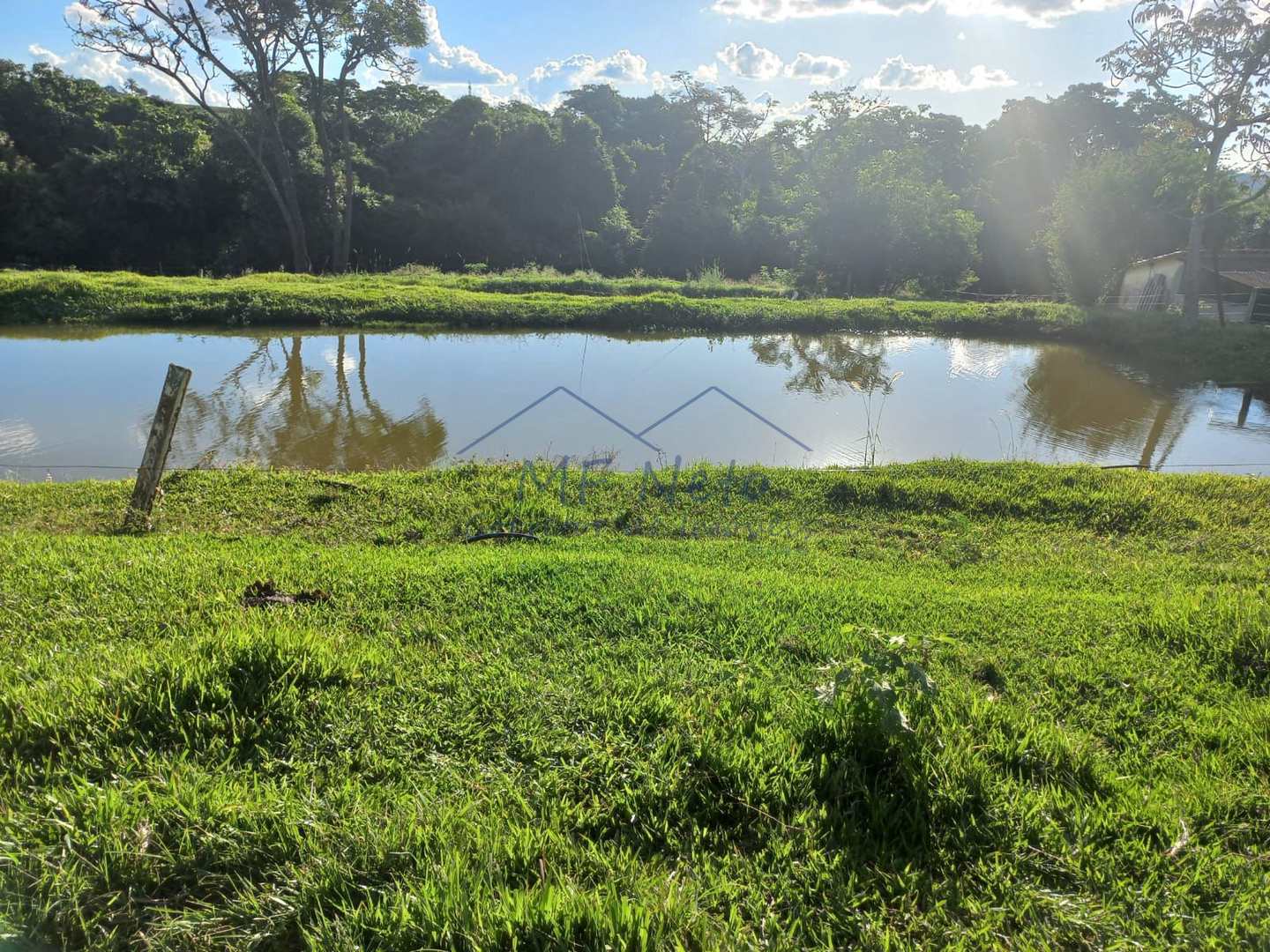 Fazenda à venda com 2 quartos, 65340m² - Foto 7