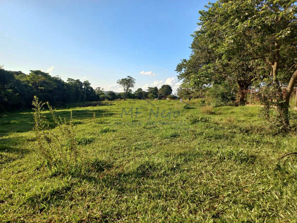 Fazenda à venda com 2 quartos, 65340m² - Foto 23