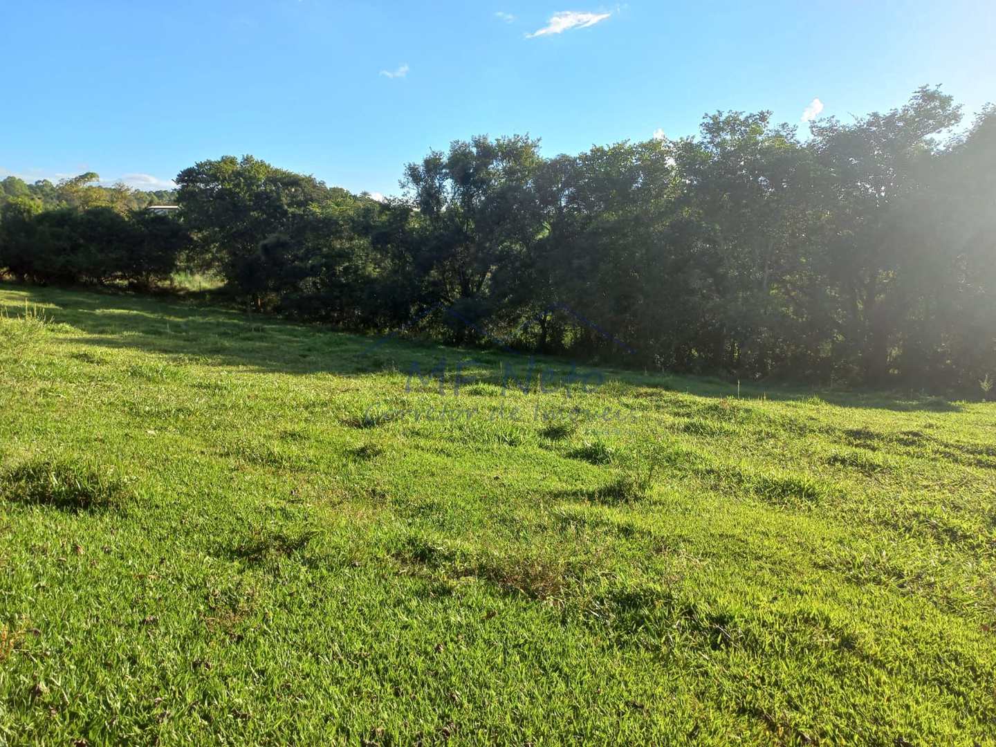 Fazenda à venda com 2 quartos, 65340m² - Foto 4