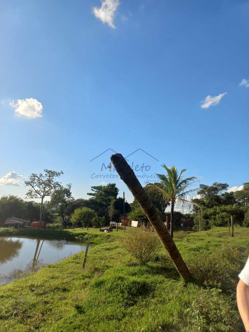 Fazenda à venda com 2 quartos, 65340m² - Foto 9