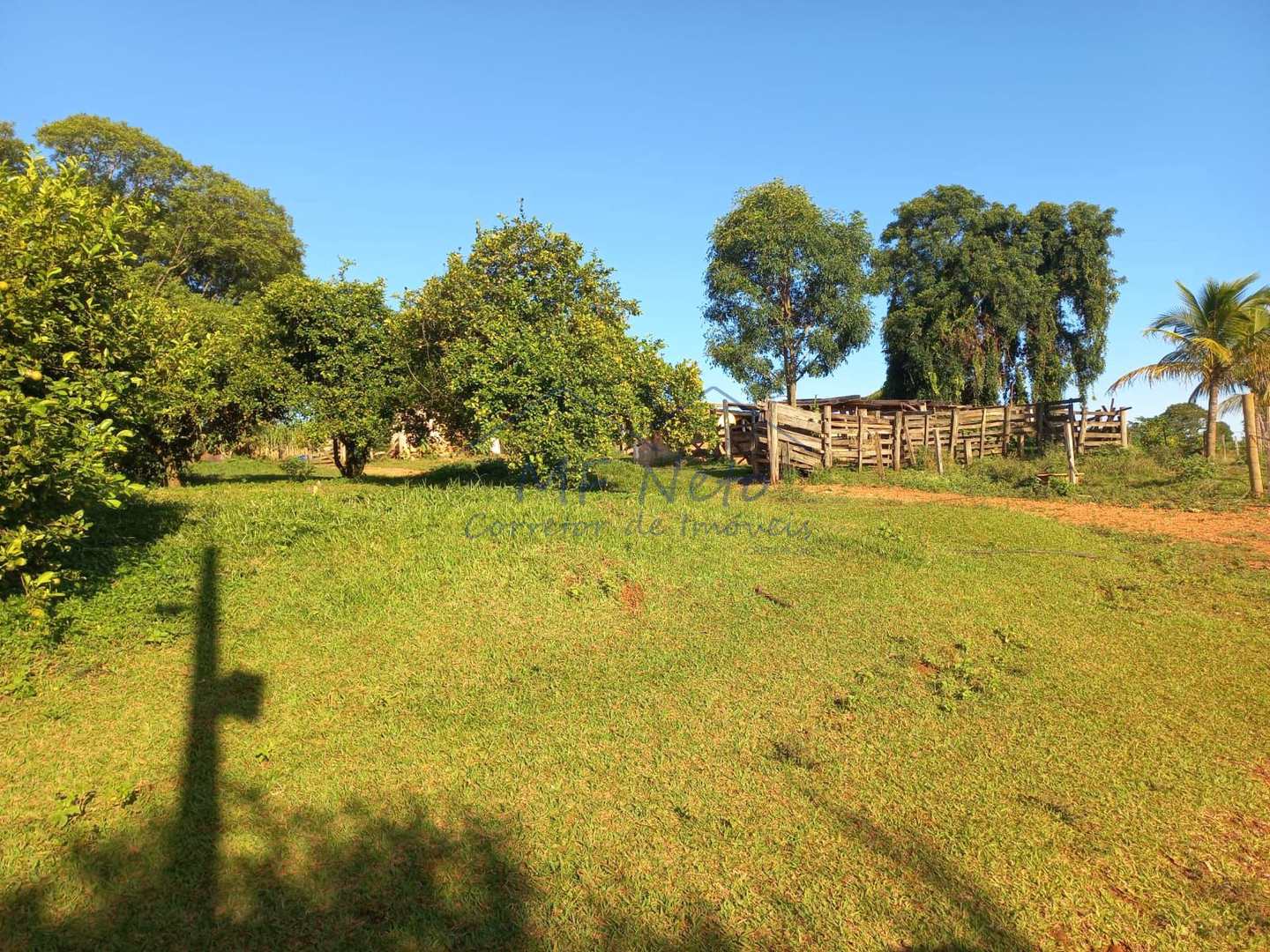 Fazenda à venda com 2 quartos, 65340m² - Foto 21