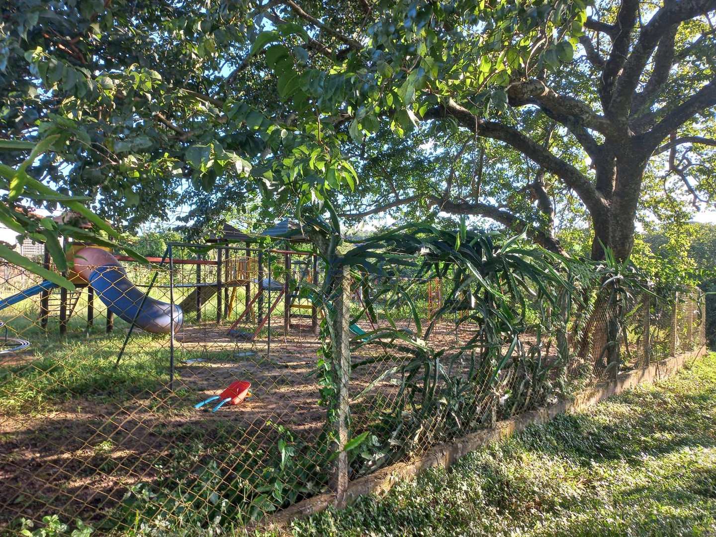 Fazenda à venda com 2 quartos, 65340m² - Foto 3