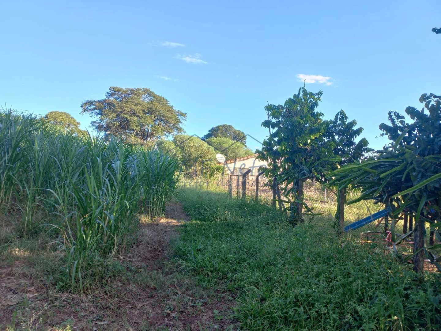 Fazenda à venda com 2 quartos, 65340m² - Foto 8