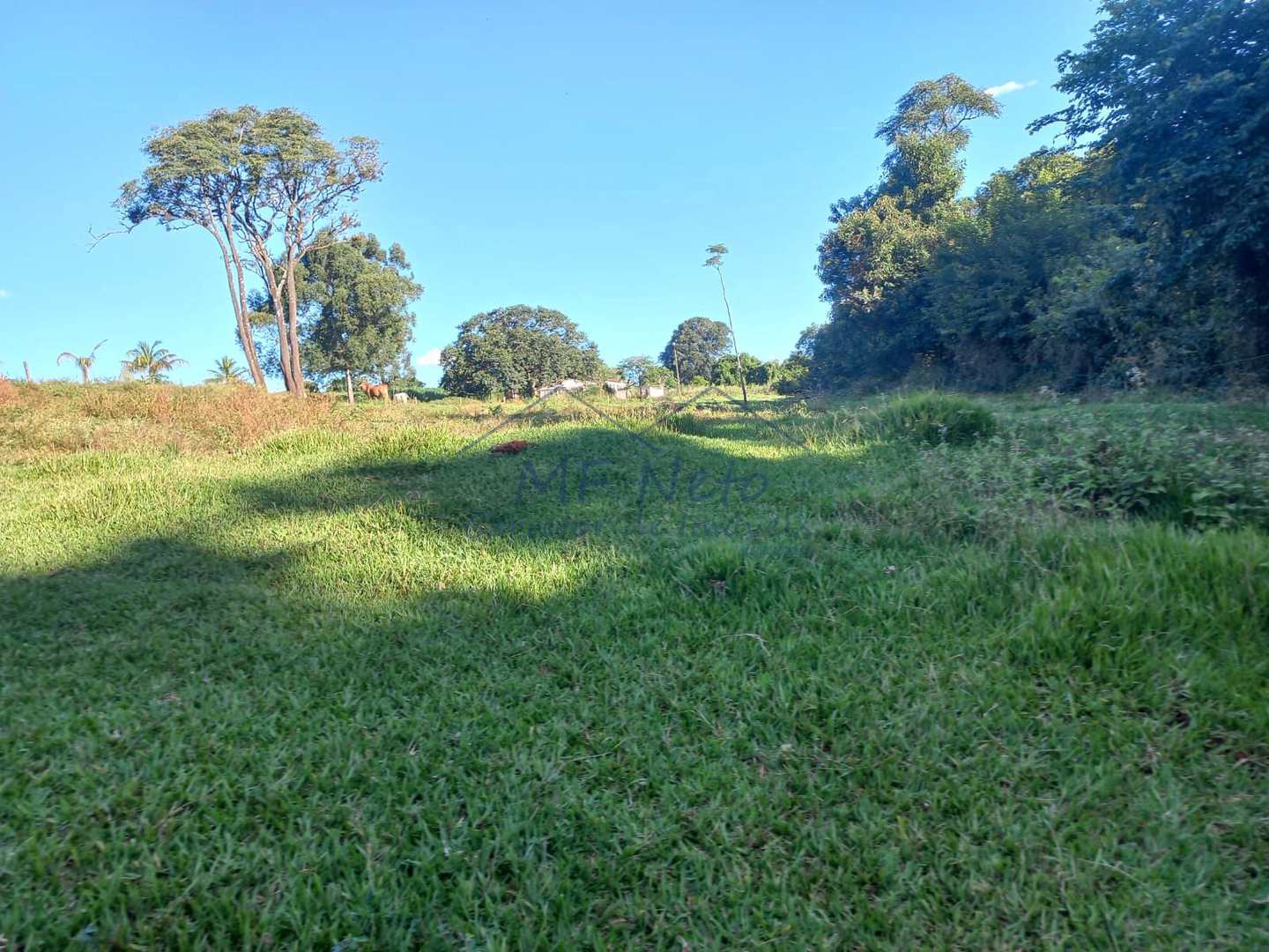 Fazenda à venda com 2 quartos, 65340m² - Foto 10