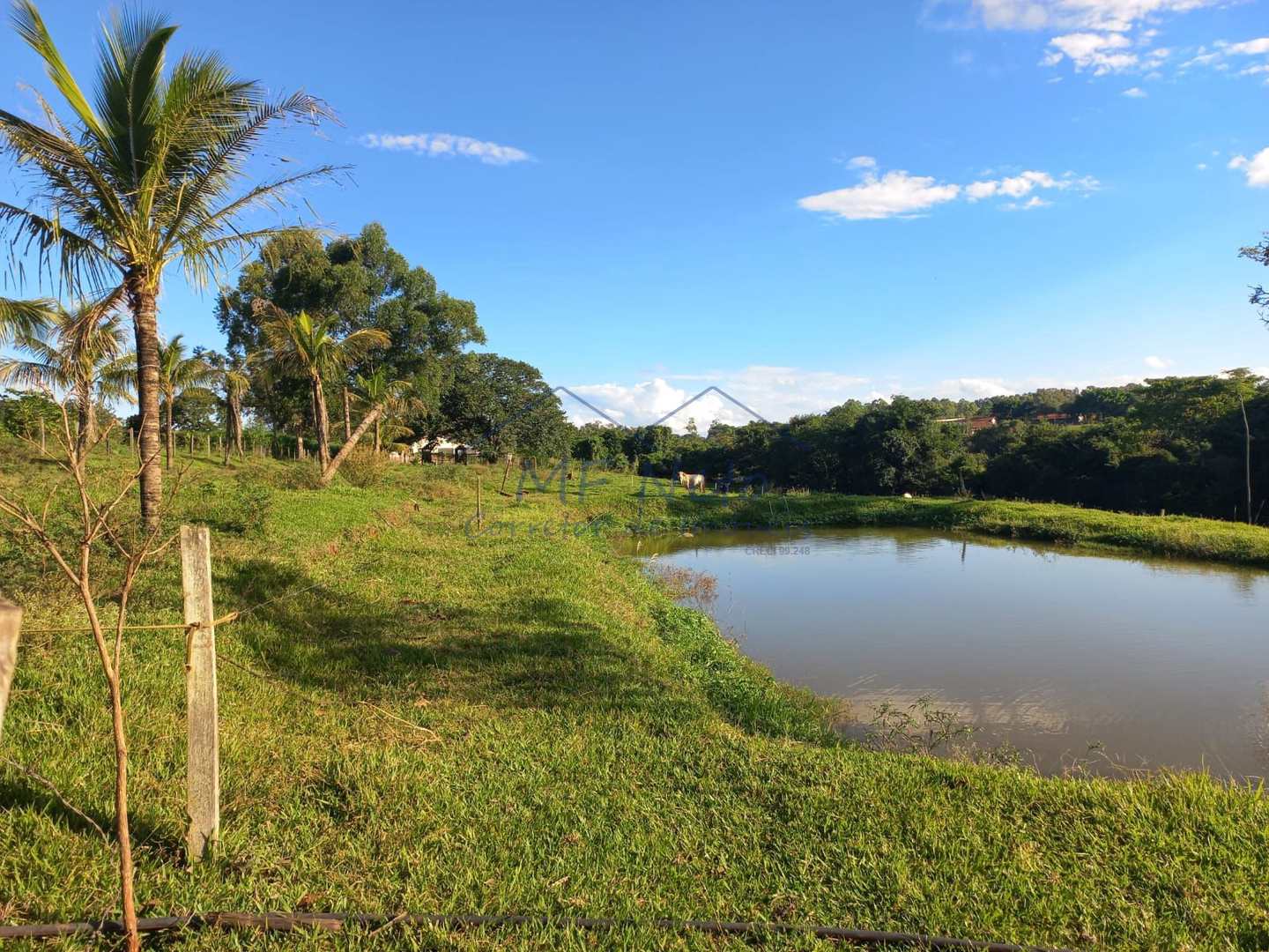 Fazenda à venda com 2 quartos, 65340m² - Foto 18