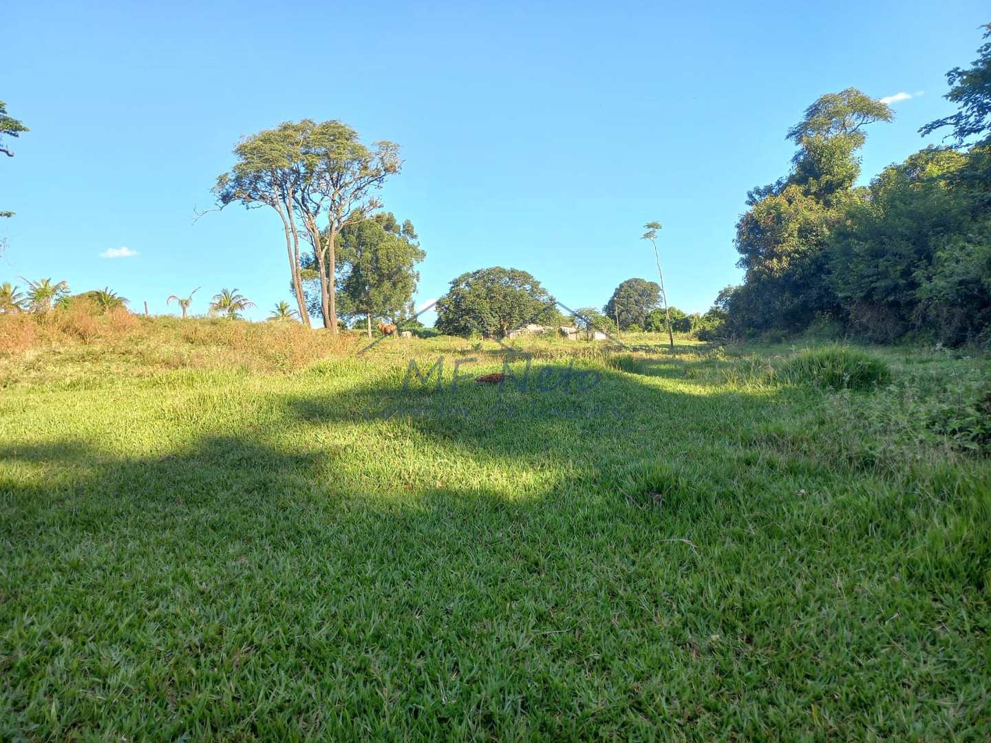 Fazenda à venda com 2 quartos, 65340m² - Foto 13