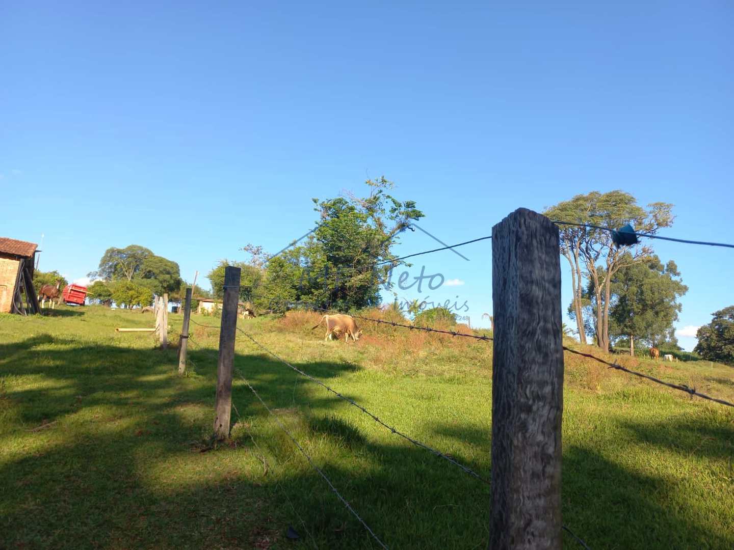 Fazenda à venda com 2 quartos, 65340m² - Foto 14