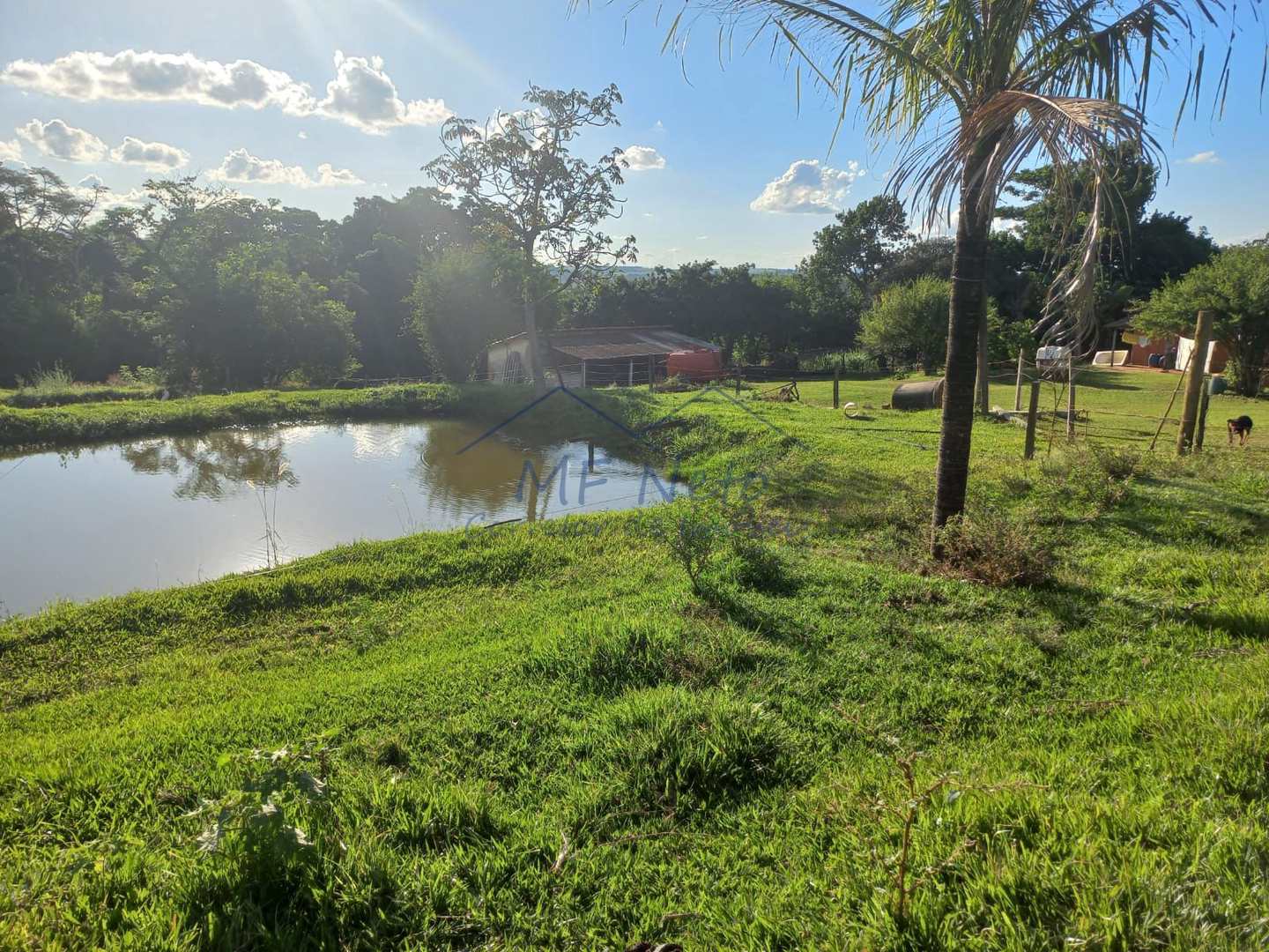 Fazenda à venda com 2 quartos, 65340m² - Foto 6