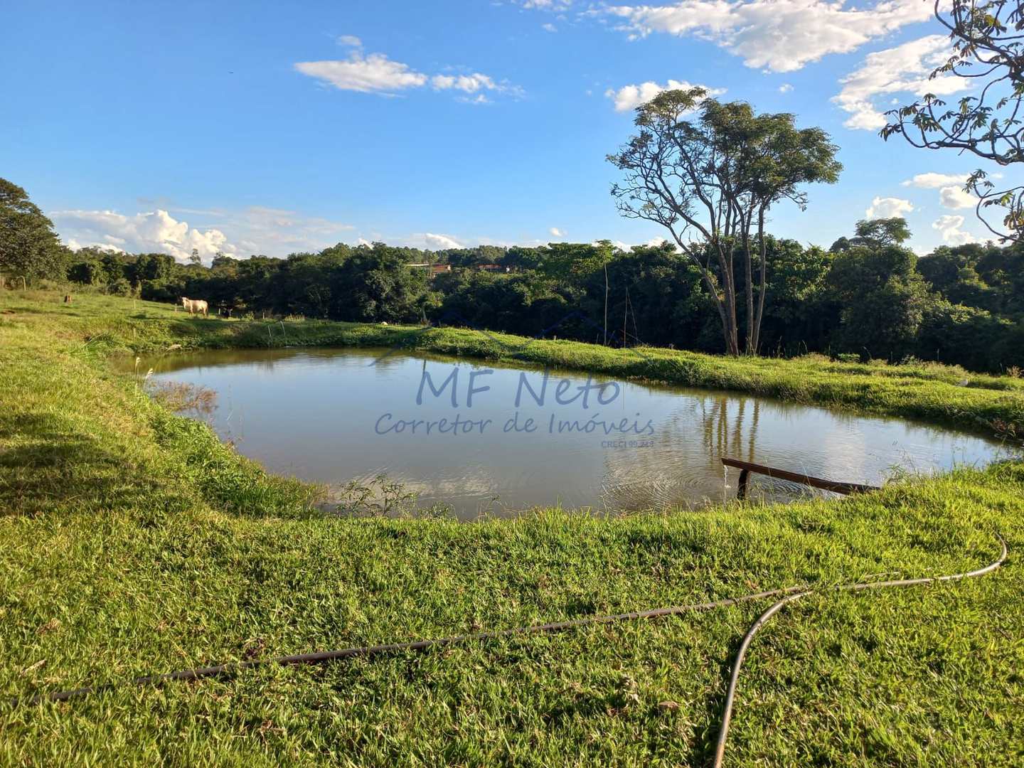 Fazenda à venda com 2 quartos, 65340m² - Foto 17