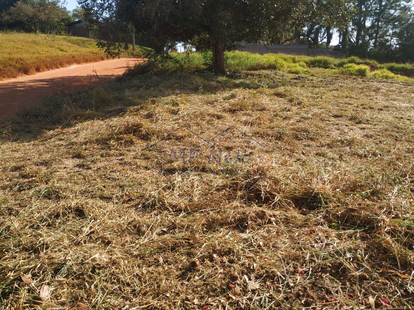 Terreno à venda - Foto 6