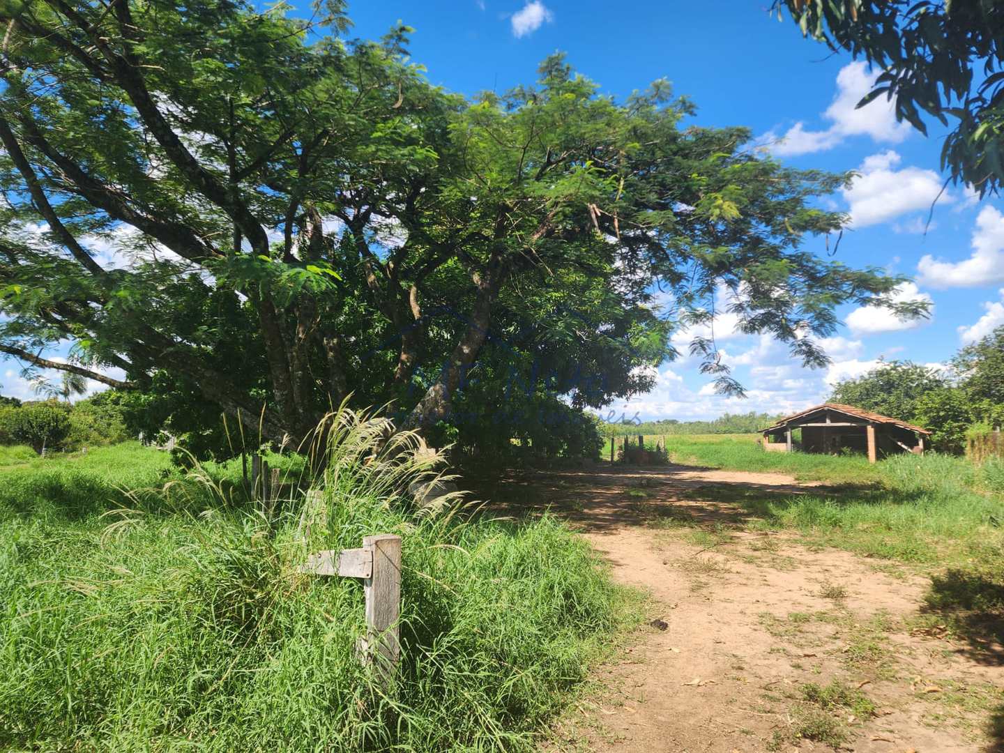 Fazenda à venda com 3 quartos, 9m² - Foto 23