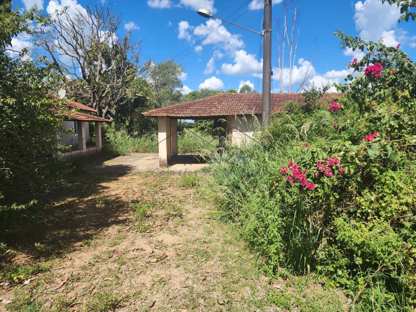 Fazenda à venda com 3 quartos, 9m² - Foto 6