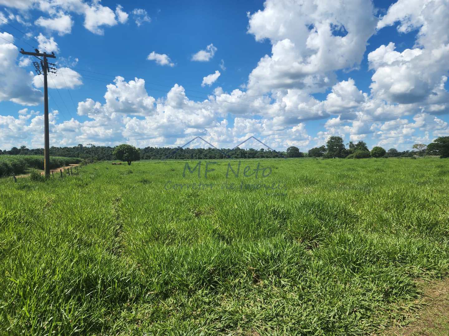 Fazenda à venda com 3 quartos, 9m² - Foto 14