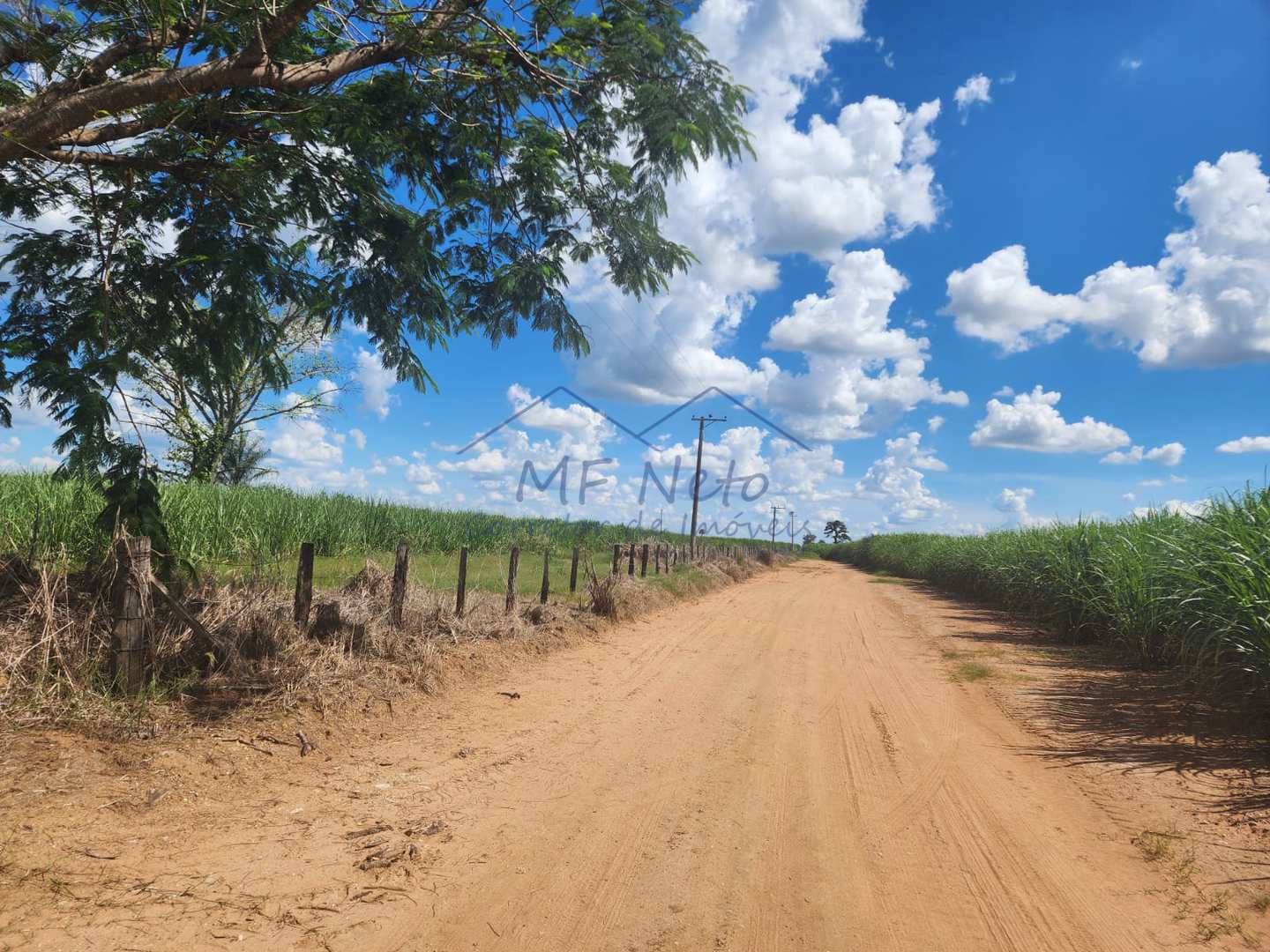 Fazenda à venda com 3 quartos, 9m² - Foto 15