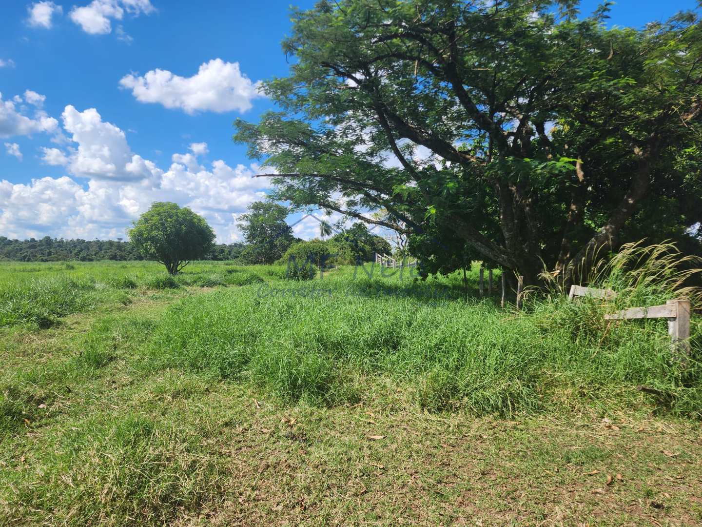 Fazenda à venda com 3 quartos, 9m² - Foto 21