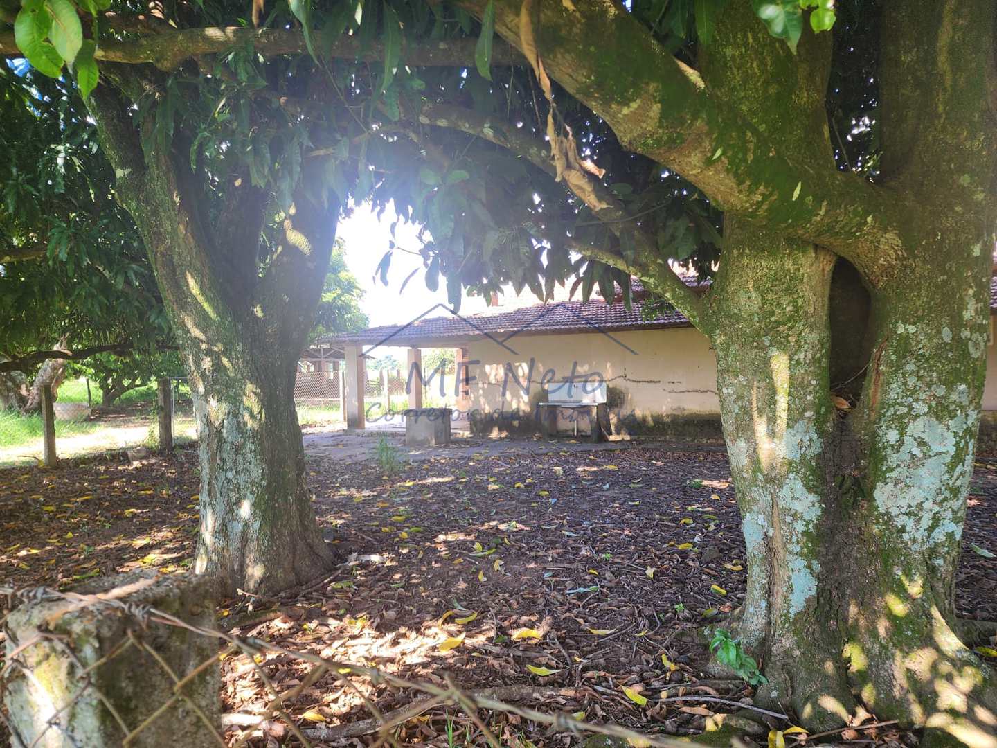 Fazenda à venda com 3 quartos, 9m² - Foto 49