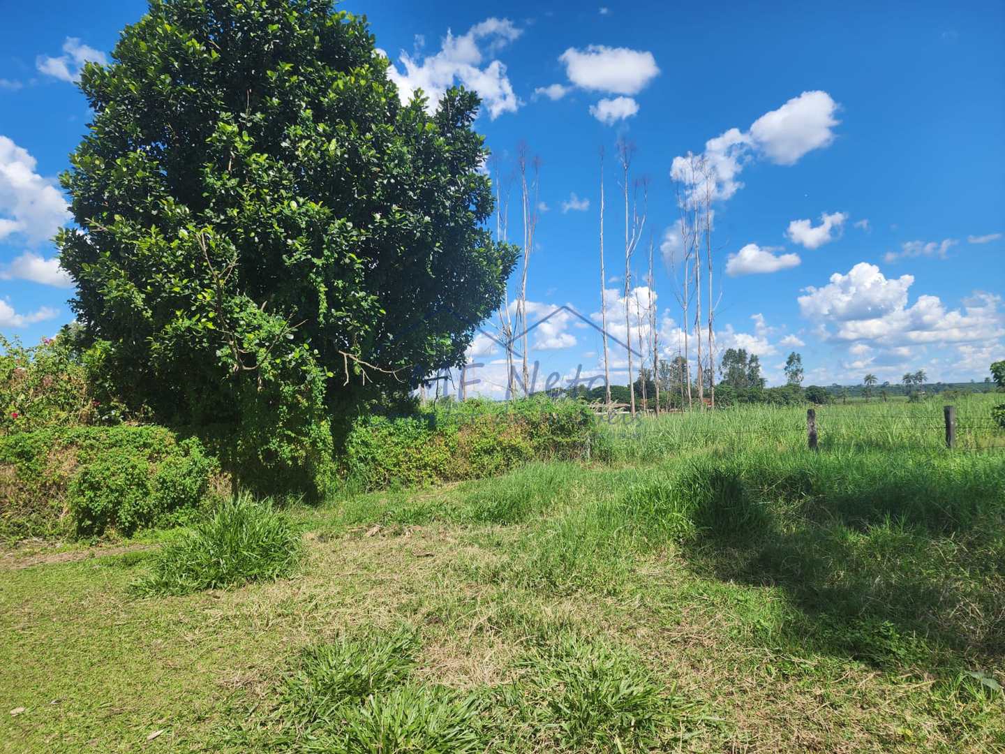 Fazenda à venda com 3 quartos, 9m² - Foto 9