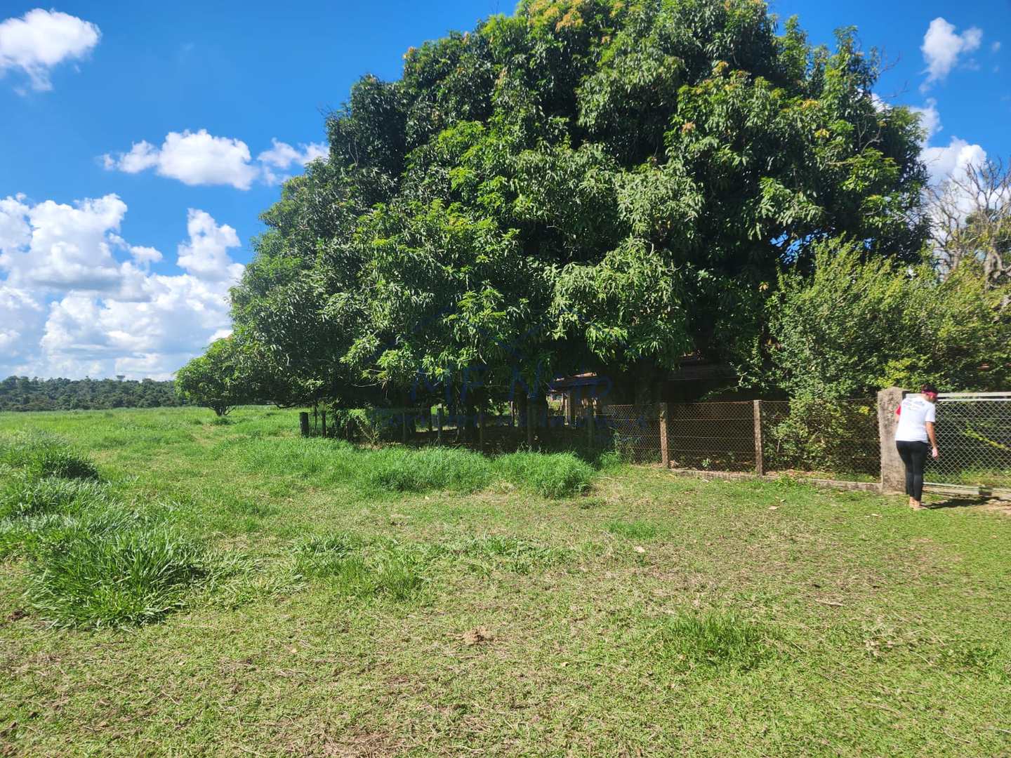 Fazenda à venda com 3 quartos, 9m² - Foto 8