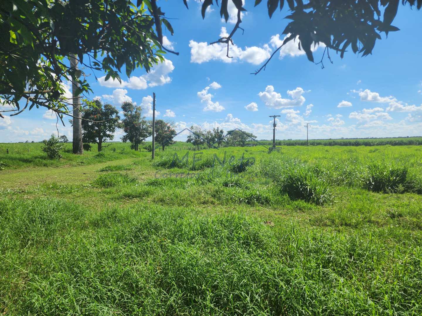 Fazenda à venda com 3 quartos, 9m² - Foto 22