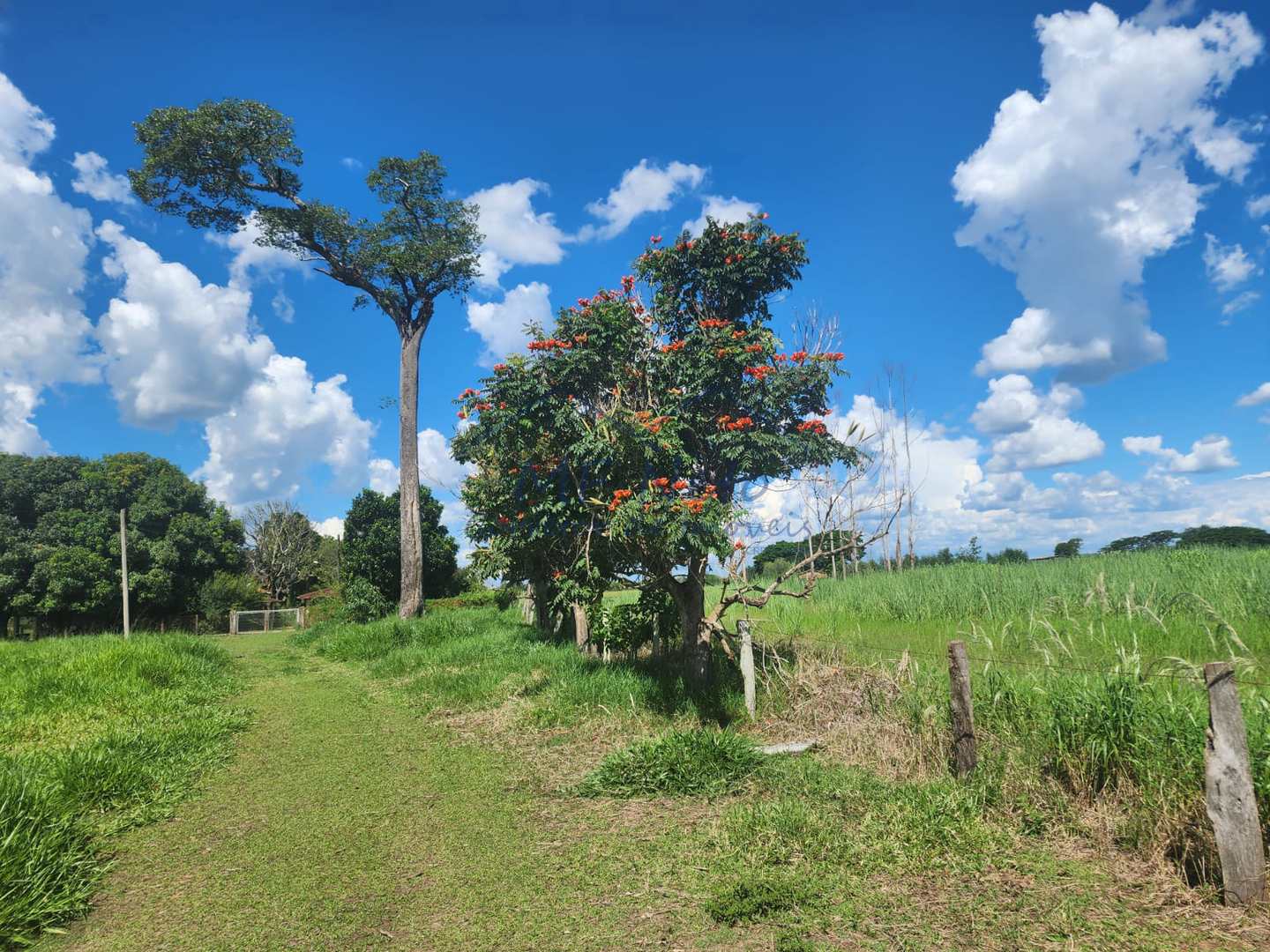 Fazenda à venda com 3 quartos, 9m² - Foto 11