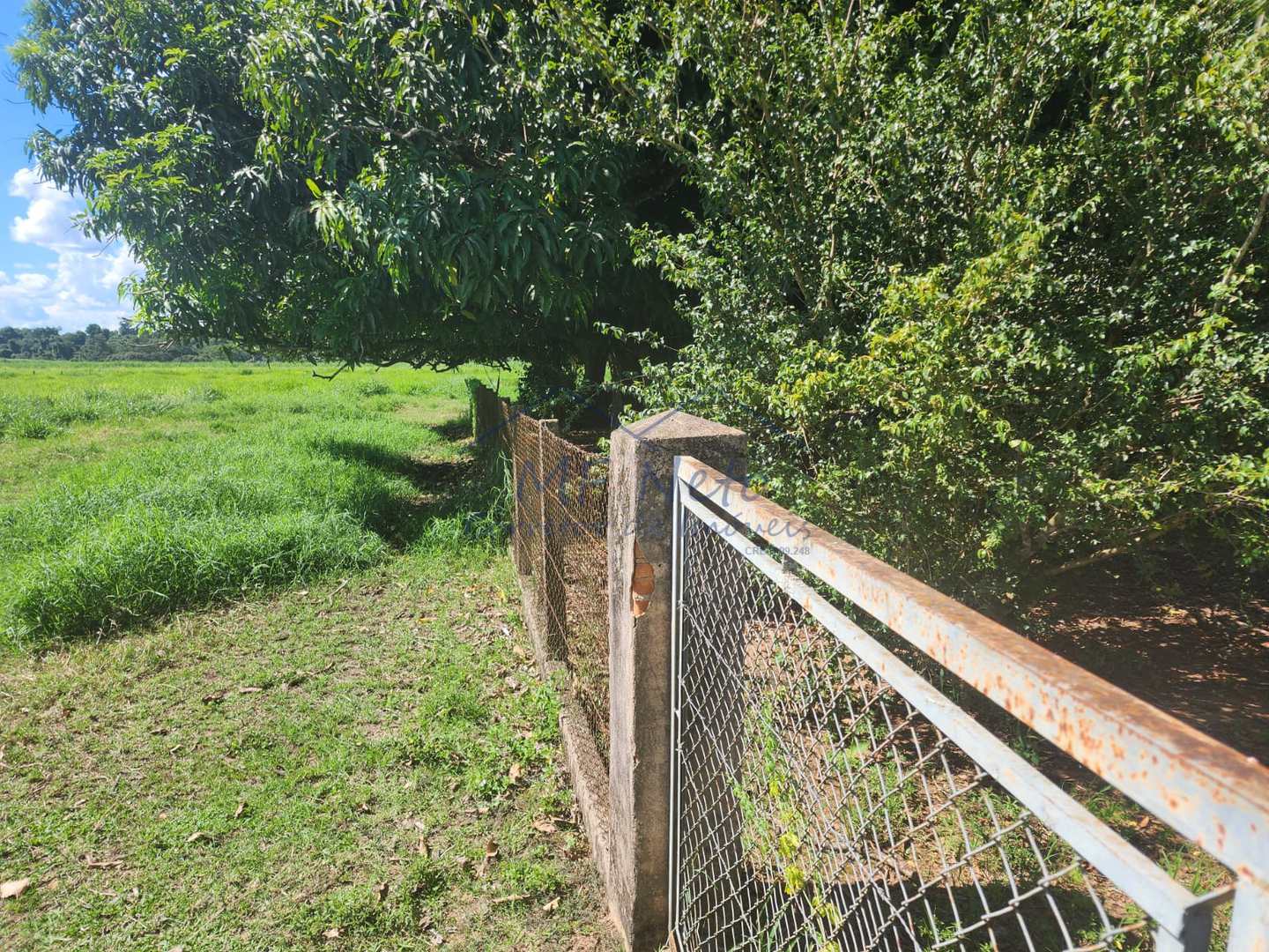 Fazenda à venda com 3 quartos, 9m² - Foto 4