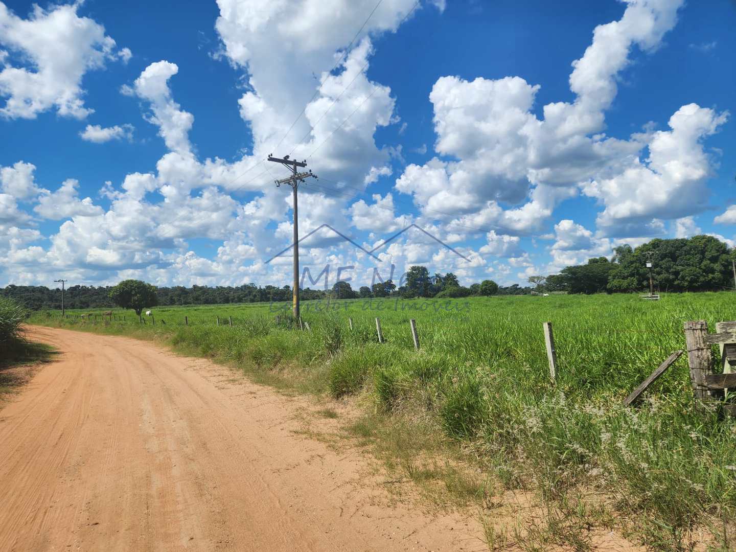 Fazenda à venda com 3 quartos, 9m² - Foto 17