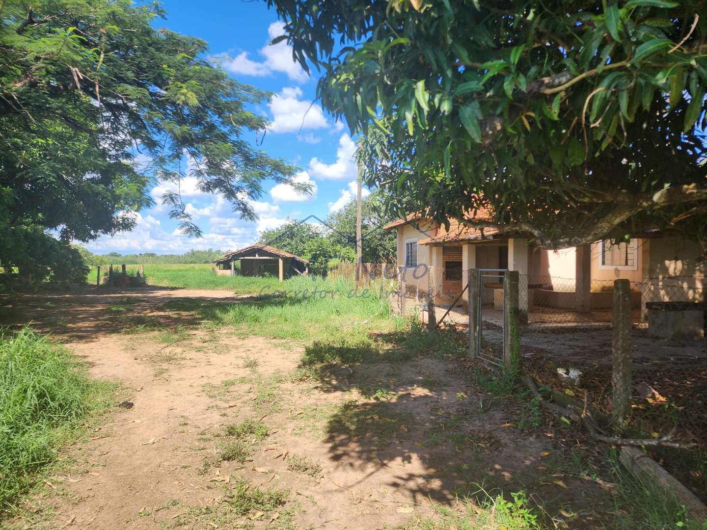 Fazenda à venda com 3 quartos, 9m² - Foto 25