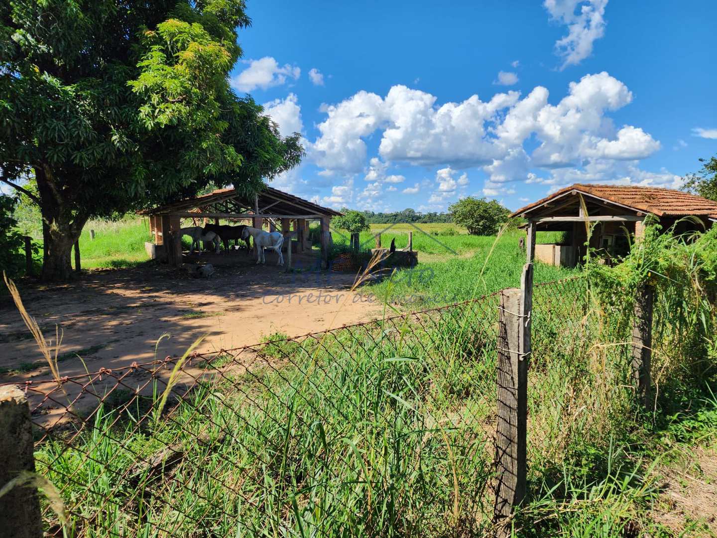 Fazenda à venda com 3 quartos, 9m² - Foto 27