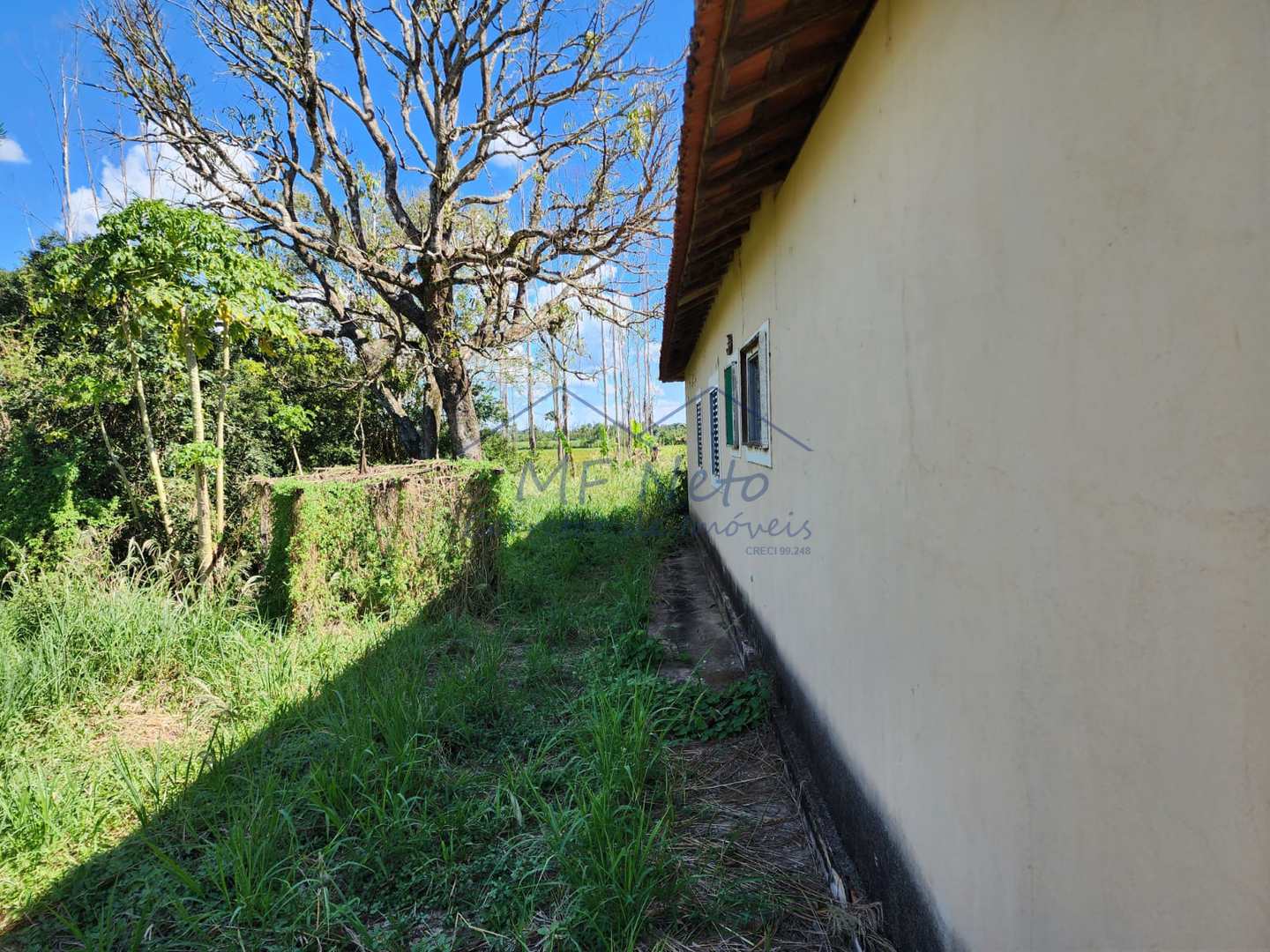 Fazenda à venda com 3 quartos, 9m² - Foto 18