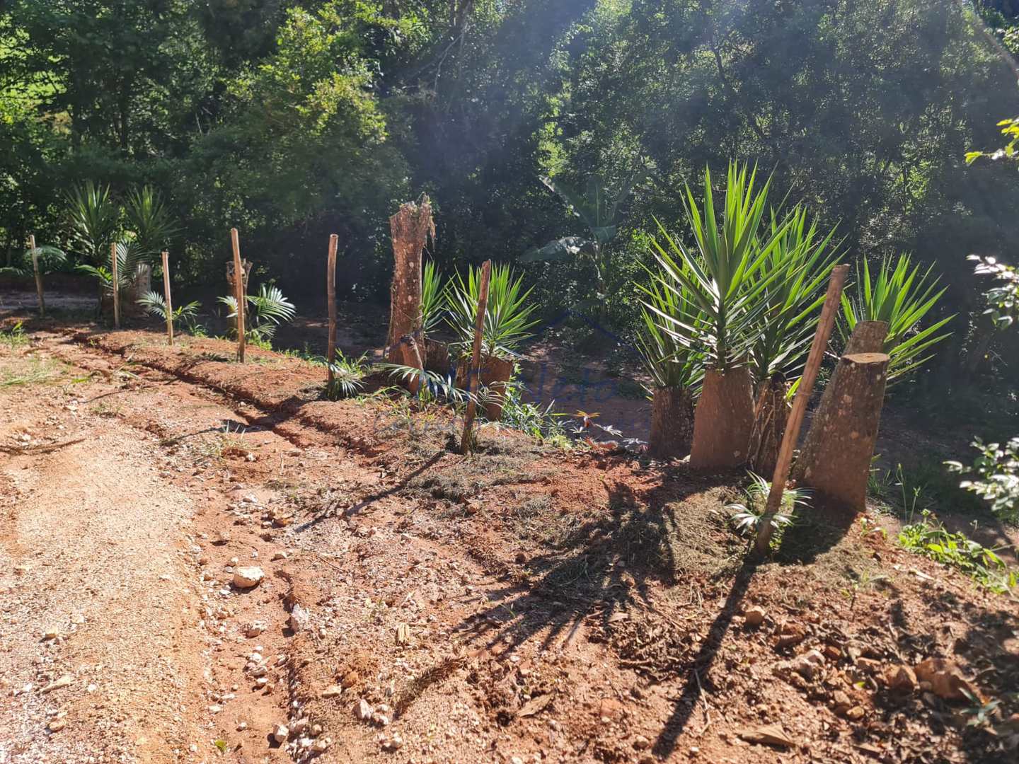 Fazenda à venda com 2 quartos, 3m² - Foto 12