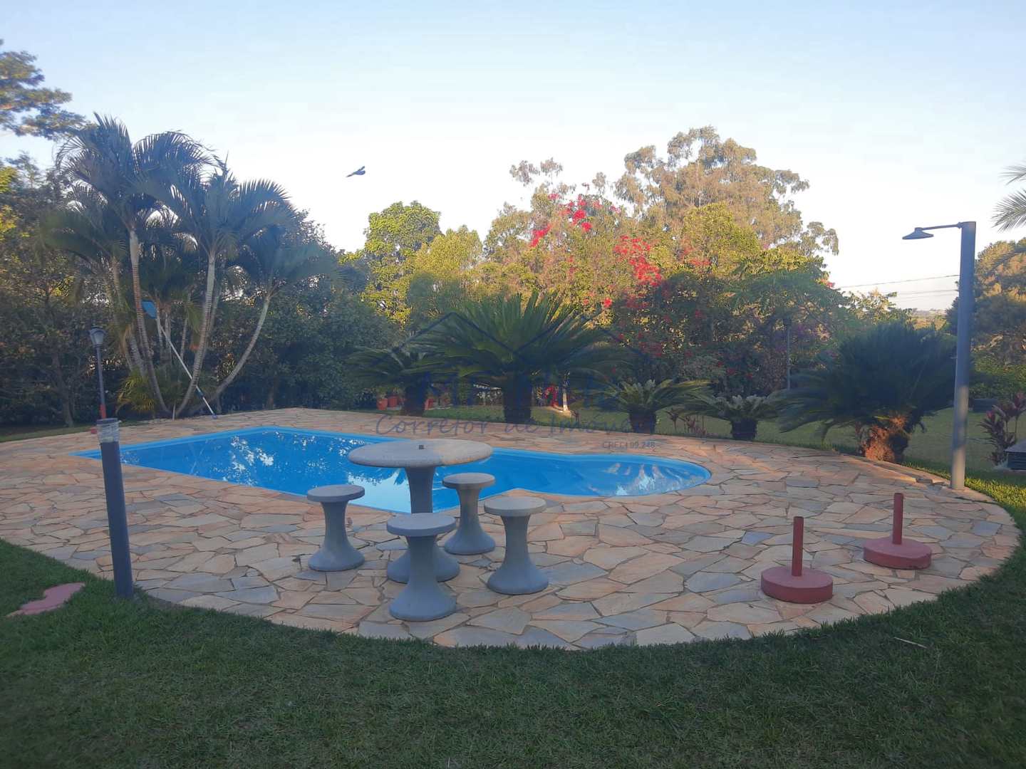 Fazenda à venda com 3 quartos, 1758m² - Foto 22