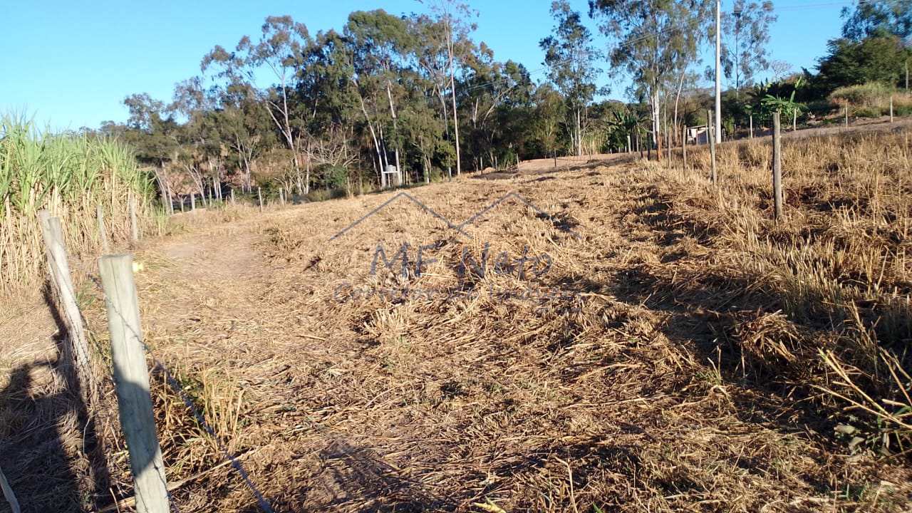 Fazenda à venda com 1 quarto, 2500m² - Foto 5