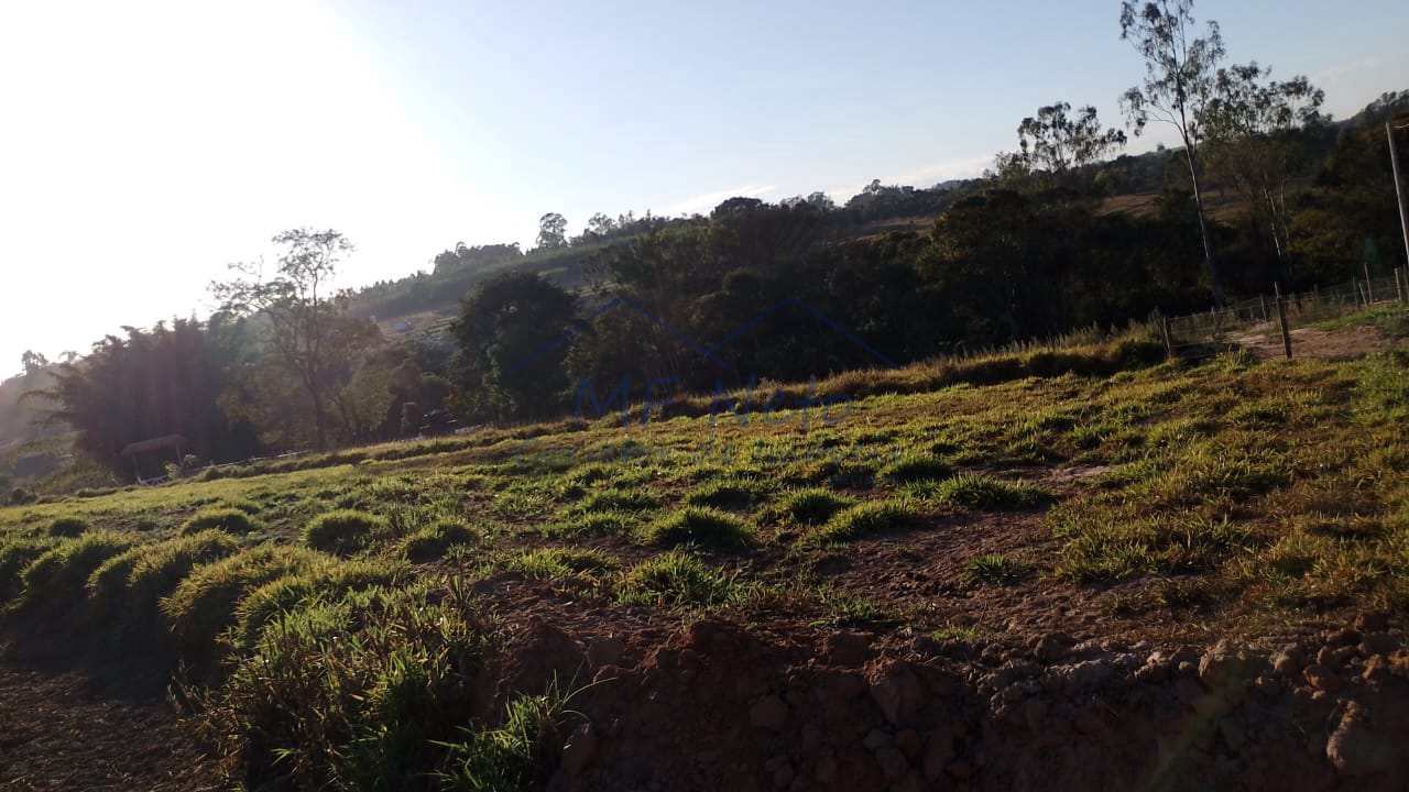 Fazenda à venda com 1 quarto, 7500m² - Foto 8