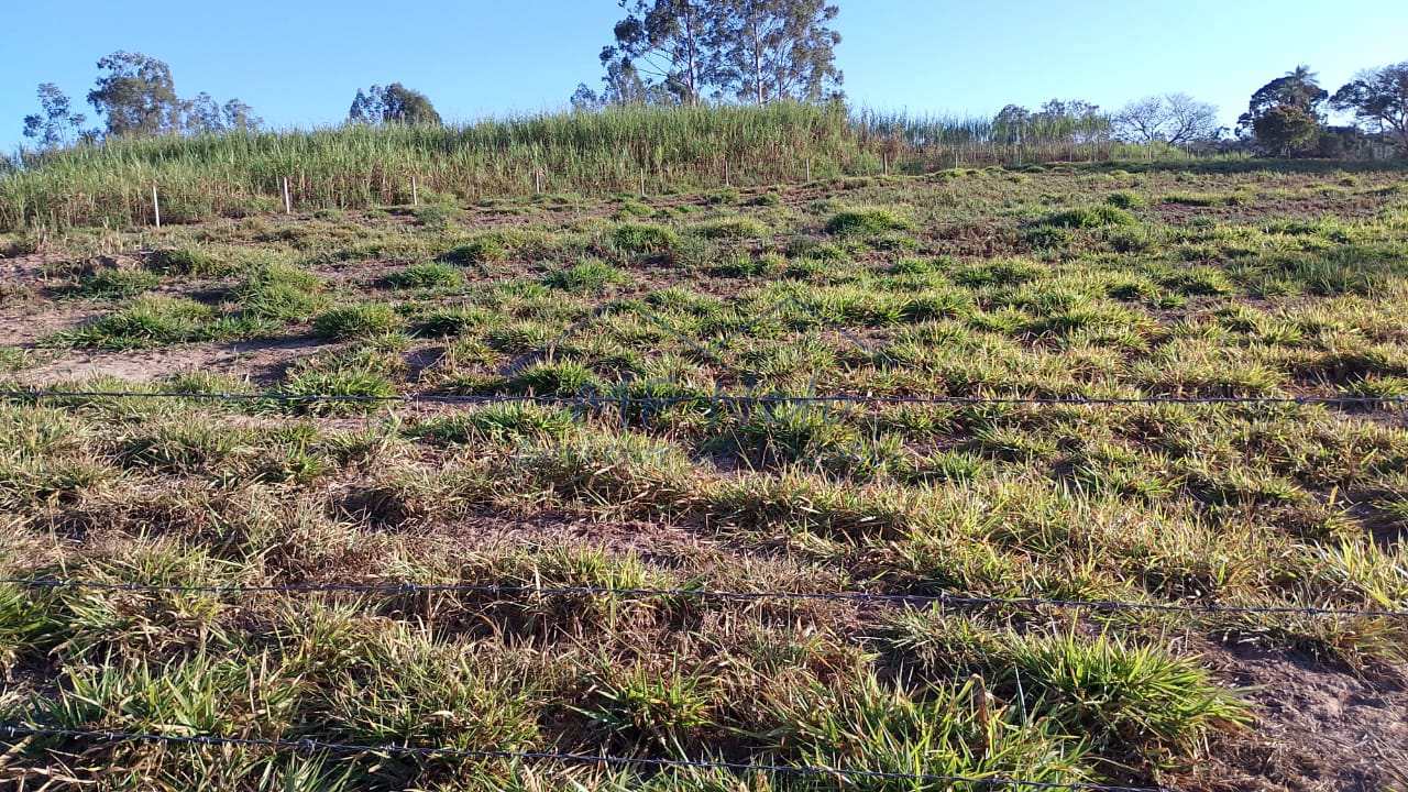 Fazenda à venda com 1 quarto, 7500m² - Foto 7