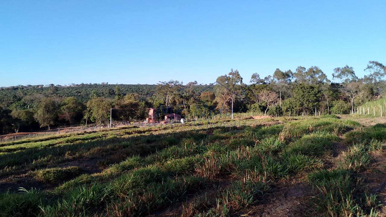 Fazenda à venda com 1 quarto, 7500m² - Foto 1