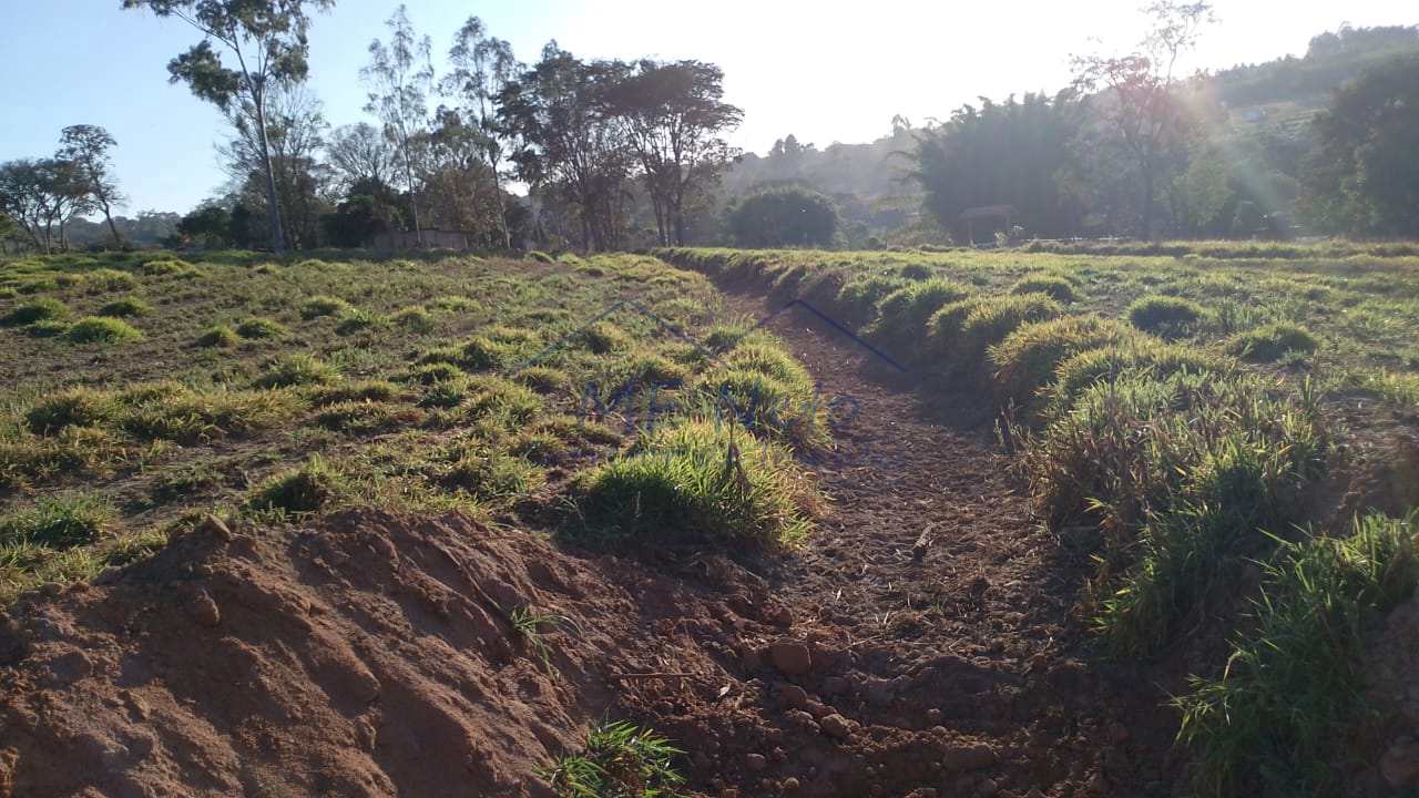 Fazenda à venda com 1 quarto, 7500m² - Foto 9