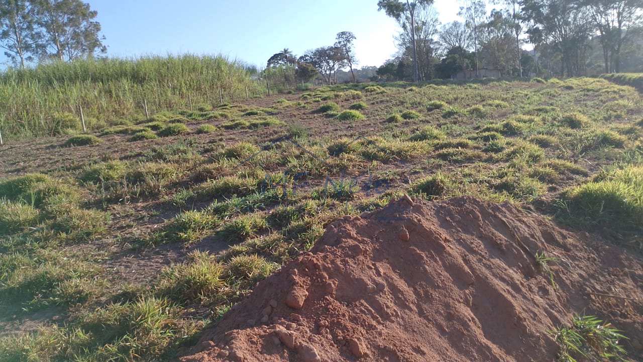 Fazenda à venda com 1 quarto, 7500m² - Foto 10