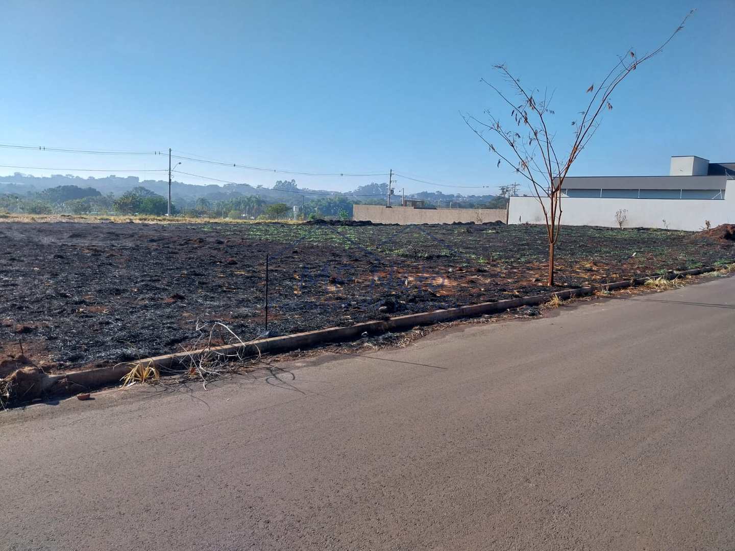 Terreno à venda, 250m² - Foto 4