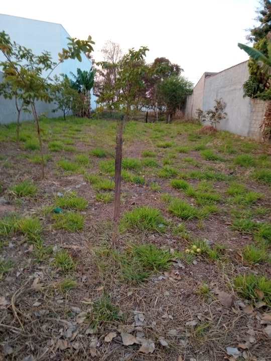 Terreno à venda, 312m² - Foto 1