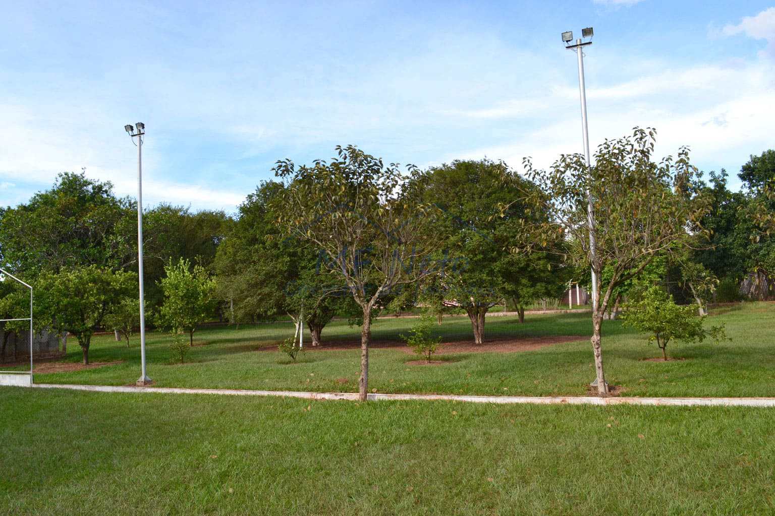 Chácara à venda com 6 quartos, 6100m² - Foto 14