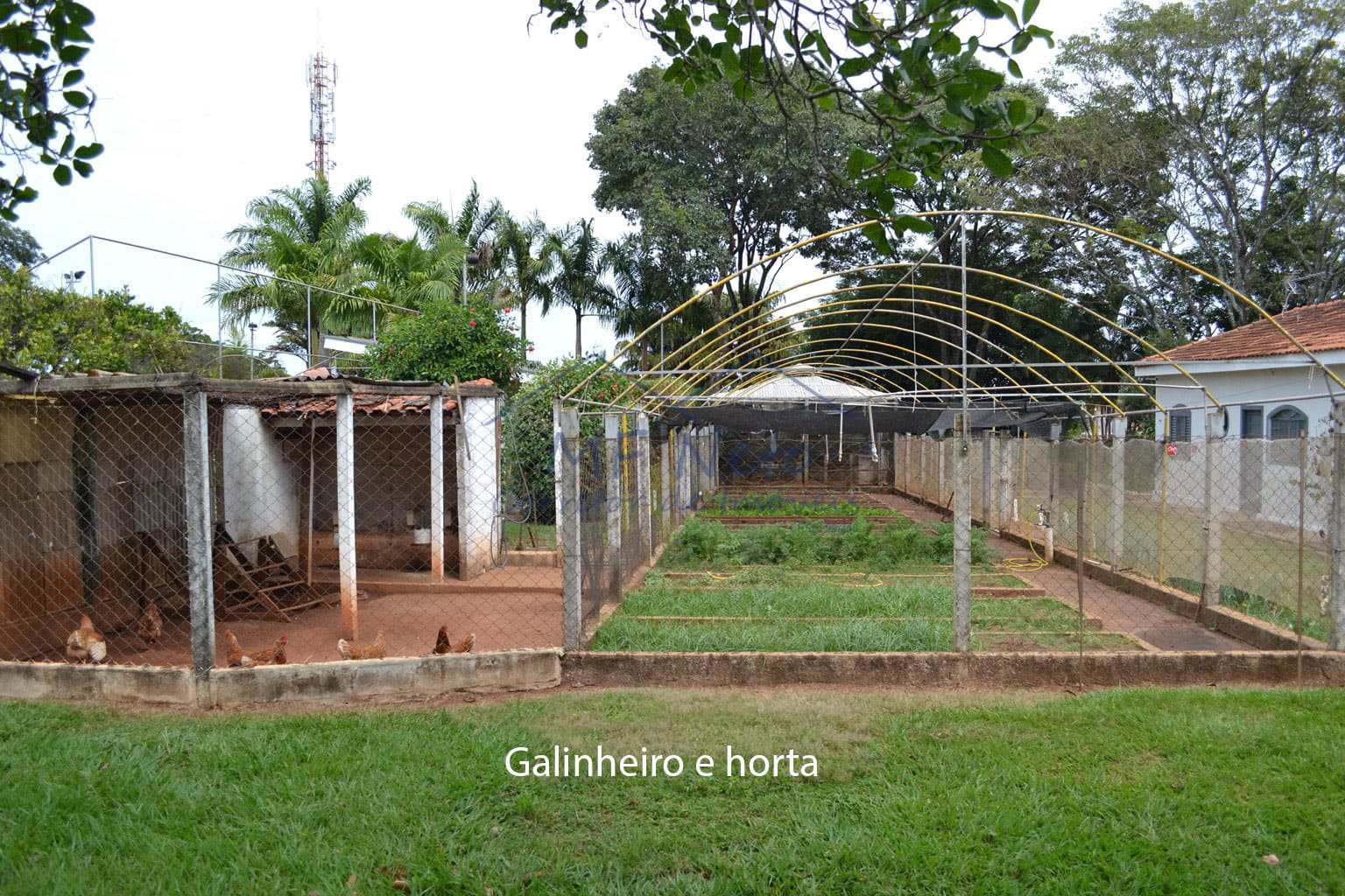 Chácara à venda com 6 quartos, 6100m² - Foto 16