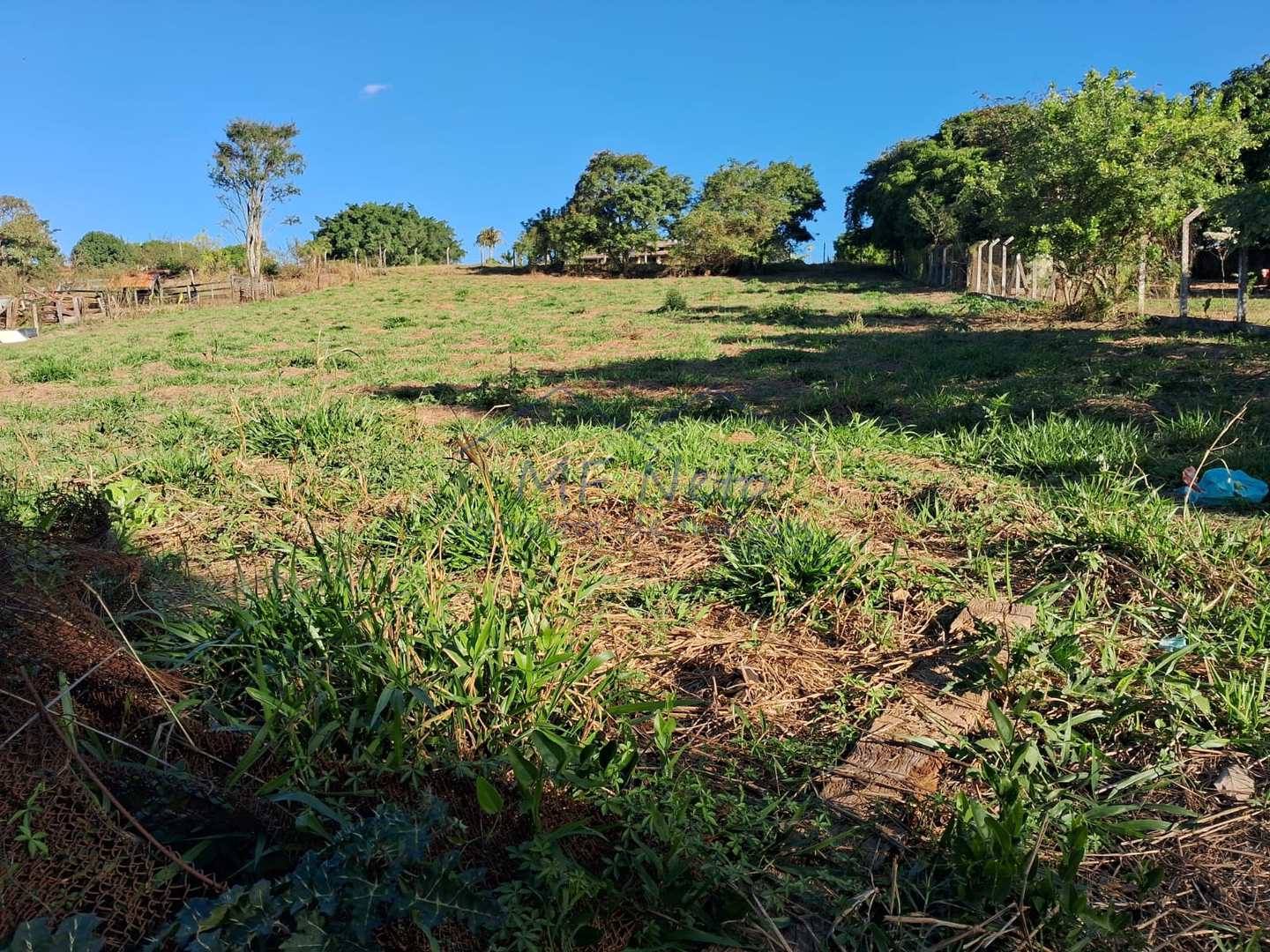 Chácara à venda, 1500m² - Foto 5