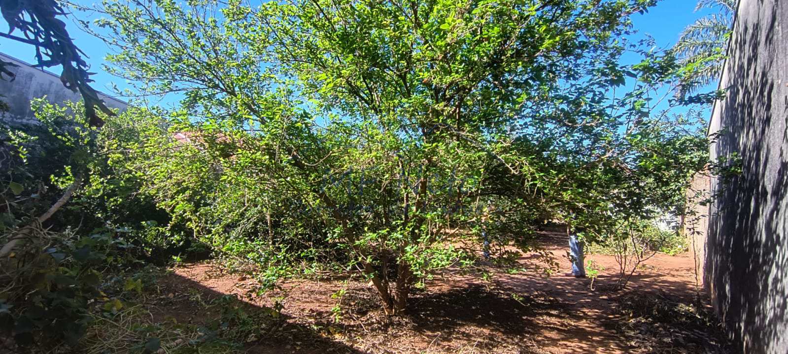 Terreno à venda, 300m² - Foto 6