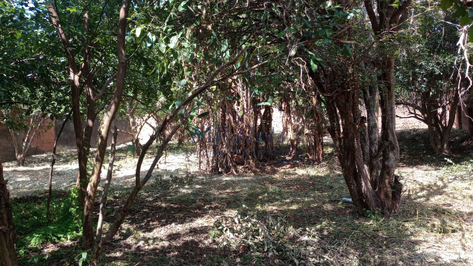 Terreno, 851 m² - Foto 2