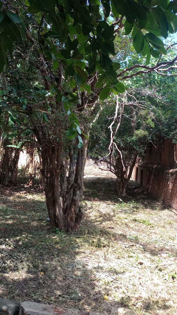 Terreno, 851 m² - Foto 3