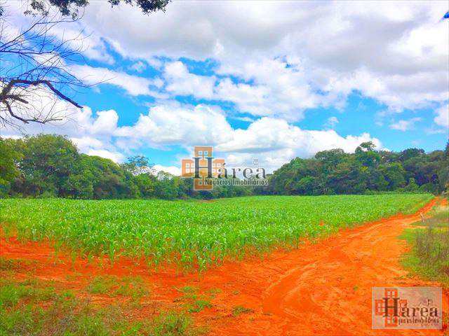 Fazenda à venda, 121000m² - Foto 20