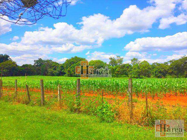 Fazenda à venda, 121000m² - Foto 18