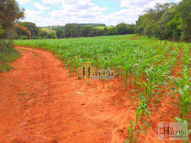 Fazenda à venda, 121000m² - Foto 14